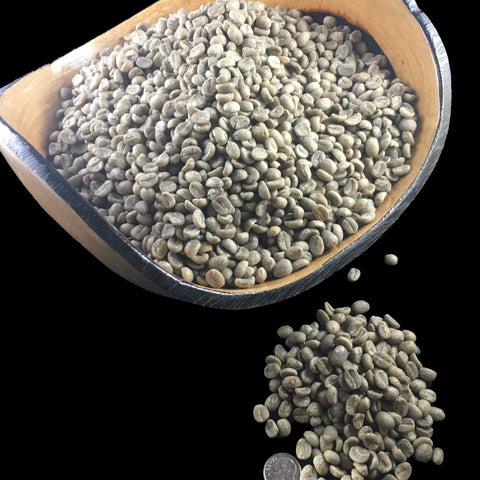 Nicaragua 100% Pure Arabica Specialty High Grown (SHG) EP Green Coffee Beans